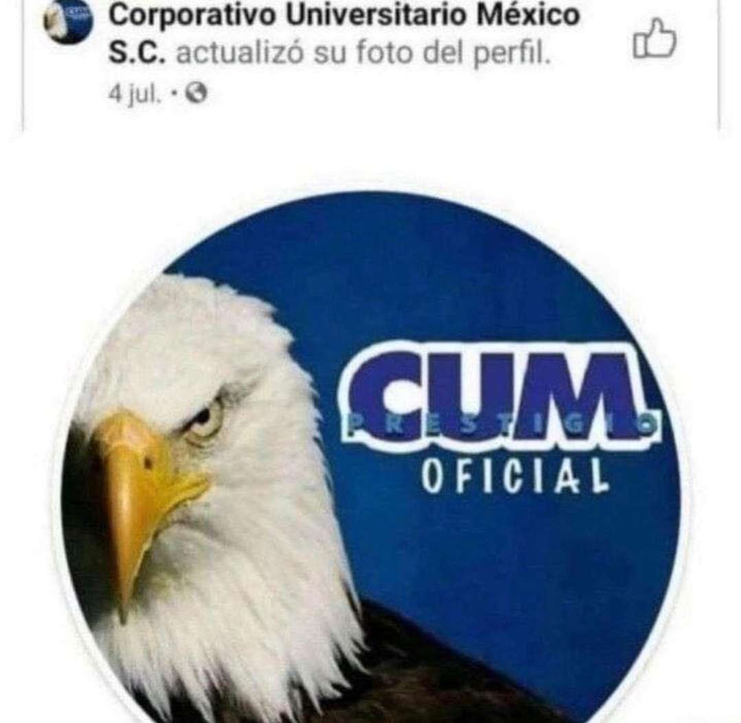 cum oficial.jpg