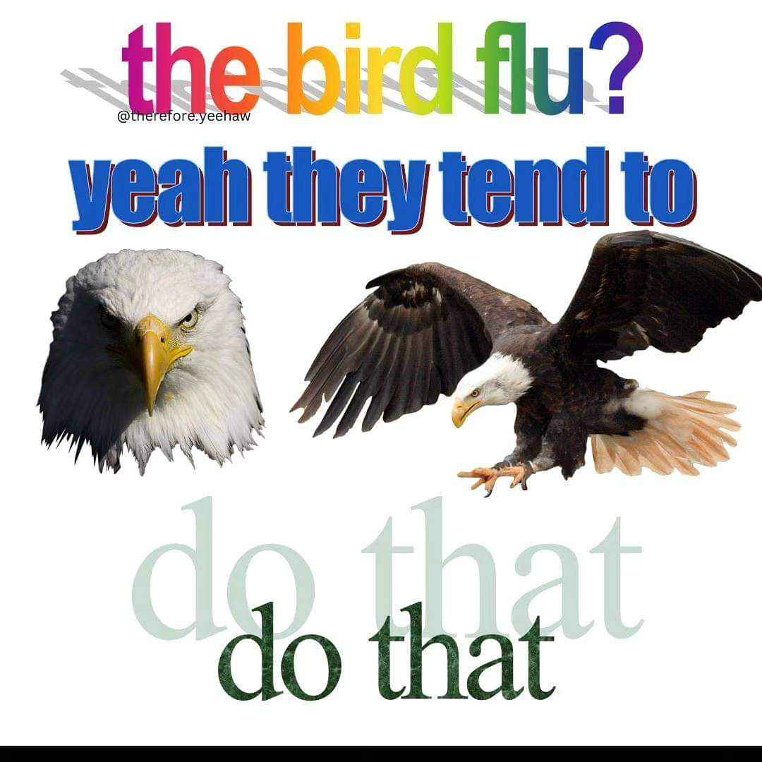 picture of a couple eagles and it's captioned in multiple font styles &quot;the bird flu? yeah they tend to do that&quot;