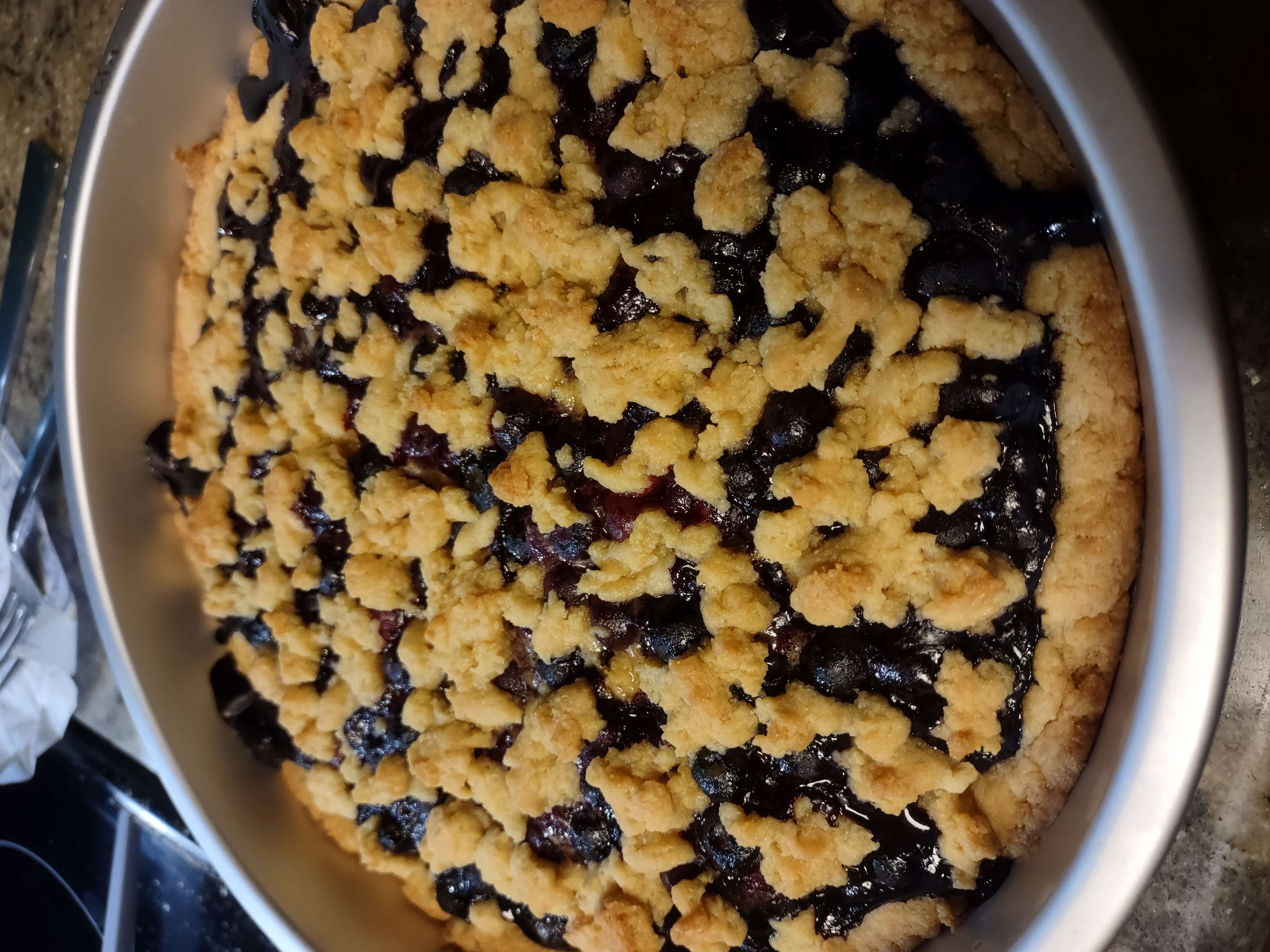 the blueberry tart i made today